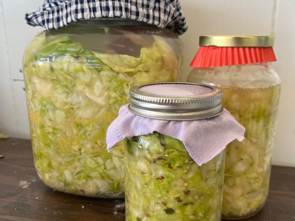 Holiday Gift Idea: Sauerkraut